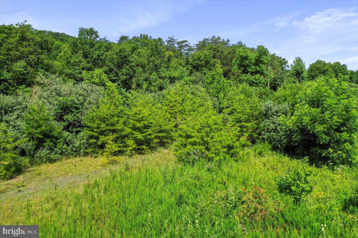 00 MESSICK ROAD, STRASBURG, Virginia 22657, ,Land,For sale,00 MESSICK ROAD,VAWR2011744 MLS # VAWR2011744