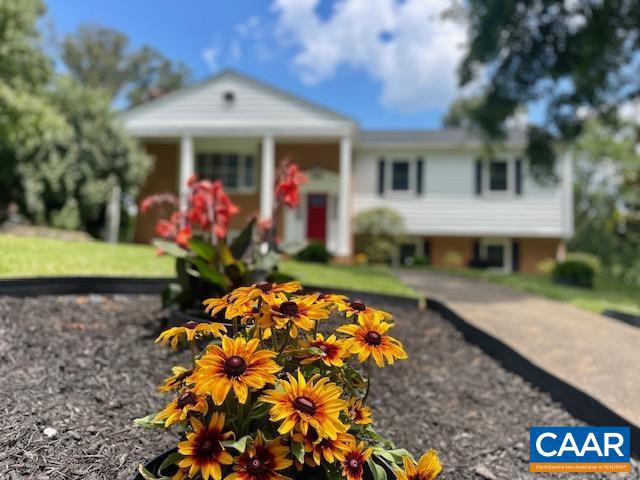 317 BRENTWOOD RD, CHARLOTTESVILLE, Virginia 22901, 4 Bedrooms Bedrooms, ,3 BathroomsBathrooms,Residential,For sale,317 BRENTWOOD RD,666806 MLS # 666806