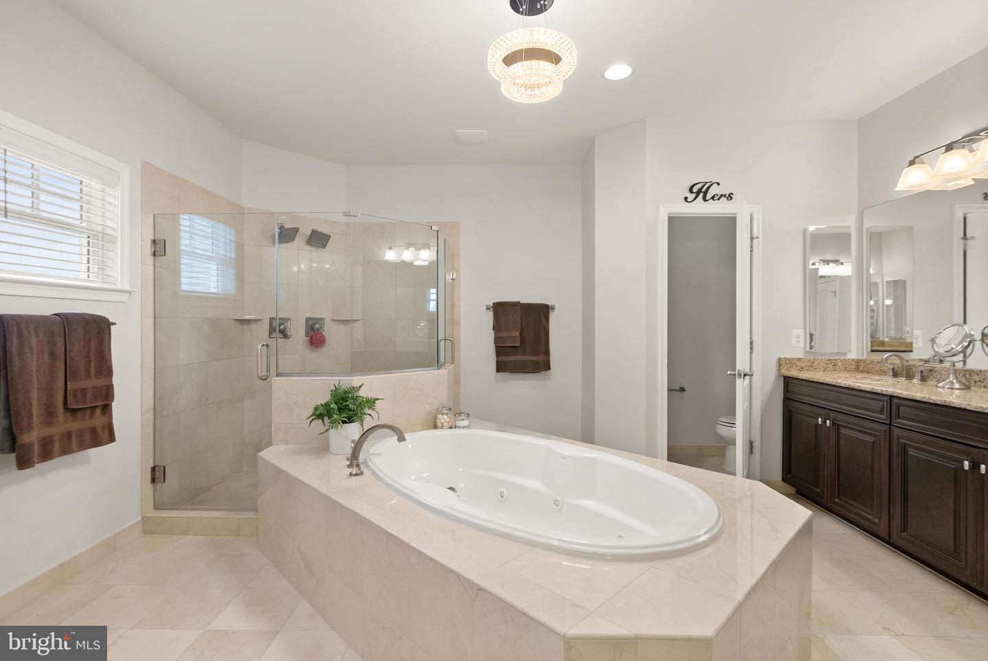 41960 BARNSDALE VIEW CT, ASHBURN, Virginia 20148, 6 Bedrooms Bedrooms, ,6 BathroomsBathrooms,Residential,For sale,41960 BARNSDALE VIEW CT,VALO2102472 MLS # VALO2102472