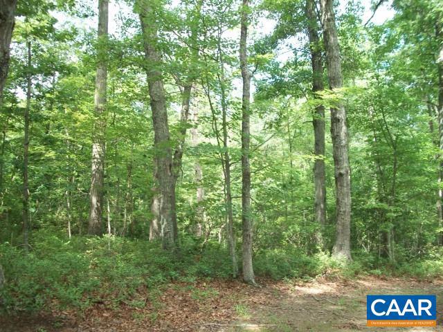 LOT 44 FOXWOOD DR #44, BARBOURSVILLE, Virginia 22923, ,Land,For sale,LOT 44 FOXWOOD DR #44,633268 MLS # 633268