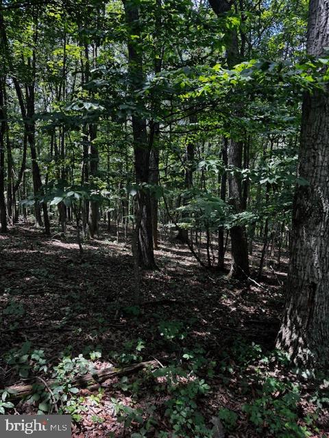 0 ALONZAVILLE RD., MAURERTOWN, Virginia 22644, ,Land,For sale,0 ALONZAVILLE RD.,VASH2011990 MLS # VASH2011990