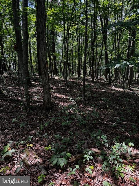 0 ALONZAVILLE RD., MAURERTOWN, Virginia 22644, ,Land,For sale,0 ALONZAVILLE RD.,VASH2011990 MLS # VASH2011990