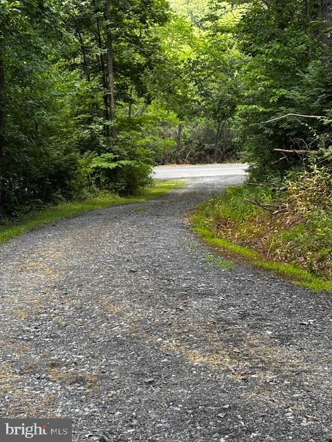 0 ALONZAVILLE RD., MAURERTOWN, Virginia 22644, ,Land,For sale,0 ALONZAVILLE RD.,VASH2011990 MLS # VASH2011990