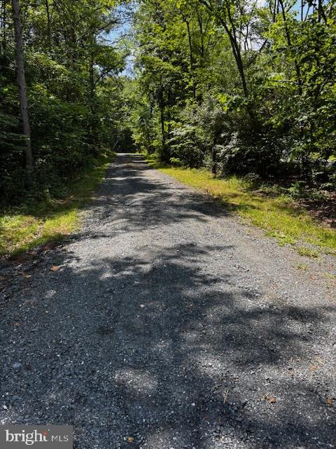 0 ALONZAVILLE RD., MAURERTOWN, Virginia 22644, ,Land,For sale,0 ALONZAVILLE RD.,VASH2011990 MLS # VASH2011990