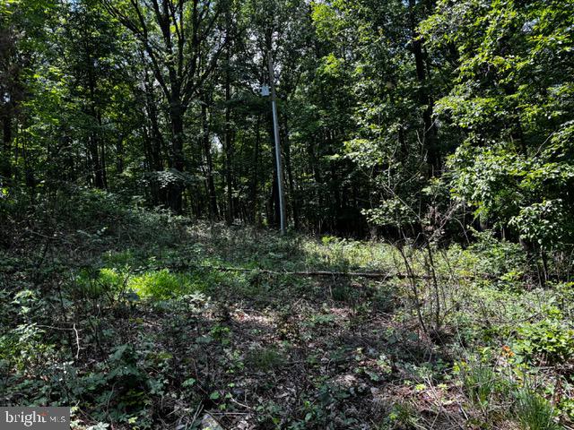 0 ALONZAVILLE RD., MAURERTOWN, Virginia 22644, ,Land,For sale,0 ALONZAVILLE RD.,VASH2011990 MLS # VASH2011990