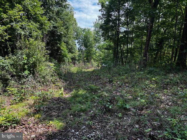 0 ALONZAVILLE RD., MAURERTOWN, Virginia 22644, ,Land,For sale,0 ALONZAVILLE RD.,VASH2011990 MLS # VASH2011990