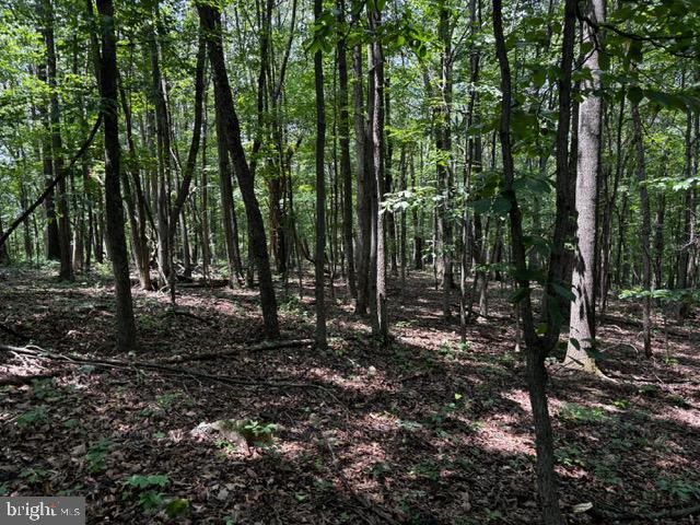 0 ALONZAVILLE RD., MAURERTOWN, Virginia 22644, ,Land,For sale,0 ALONZAVILLE RD.,VASH2011990 MLS # VASH2011990