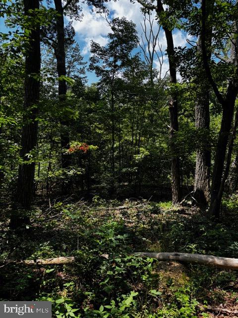 0 ALONZAVILLE RD., MAURERTOWN, Virginia 22644, ,Land,For sale,0 ALONZAVILLE RD.,VASH2011990 MLS # VASH2011990