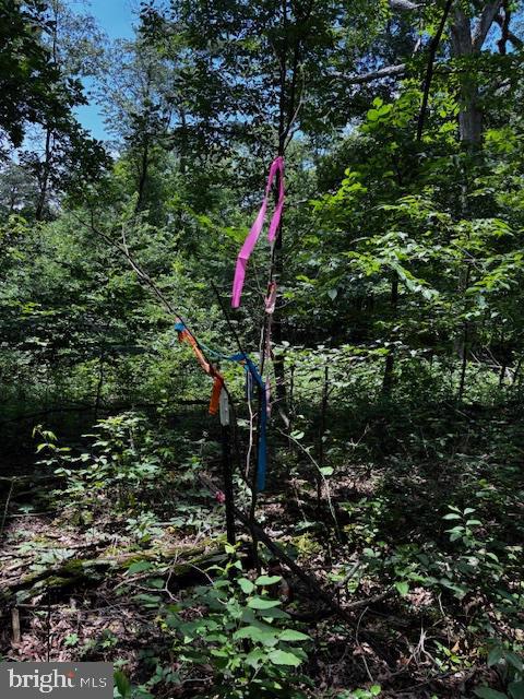0 ALONZAVILLE RD., MAURERTOWN, Virginia 22644, ,Land,For sale,0 ALONZAVILLE RD.,VASH2011990 MLS # VASH2011990