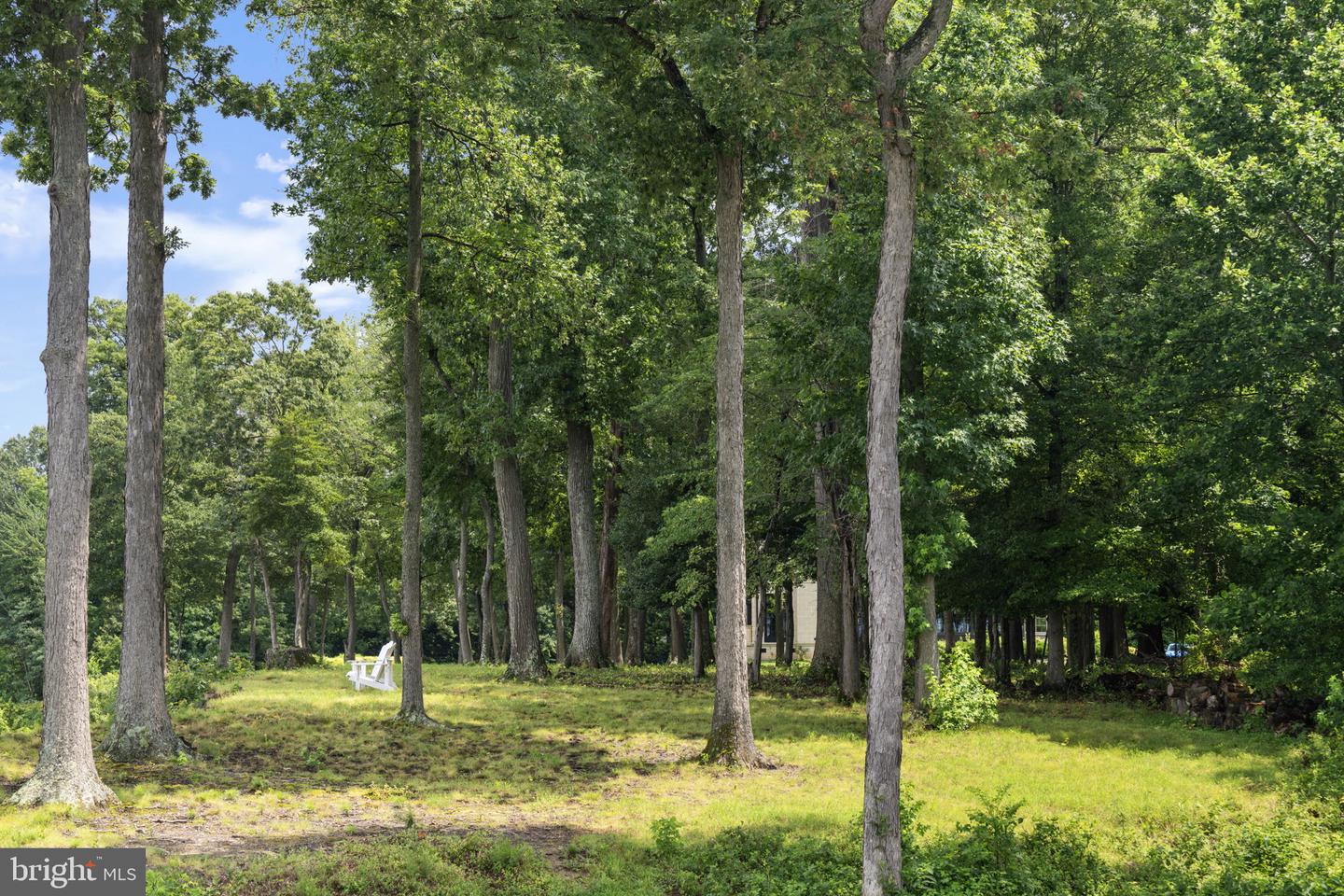 11295 CRESSWELL LNDG, LORTON, Virginia 22079, ,Land,For sale,11295 CRESSWELL LNDG,VAFX2255672 MLS # VAFX2255672