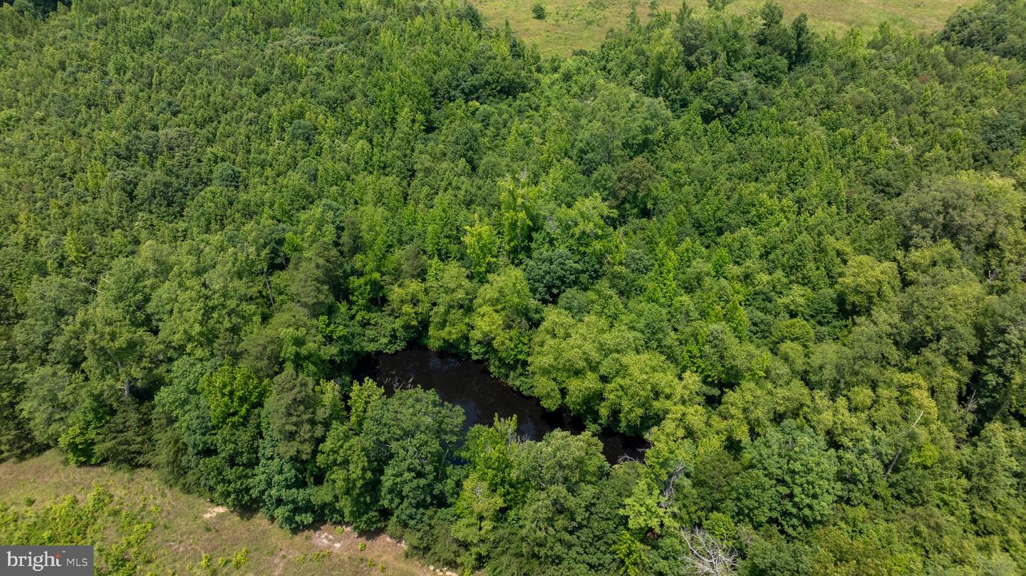 TBD PINEY GROVE ROAD #LOT 20, ALTON, Virginia 24520, ,Land,For sale,TBD PINEY GROVE ROAD #LOT 20,VAHX2000110 MLS # VAHX2000110