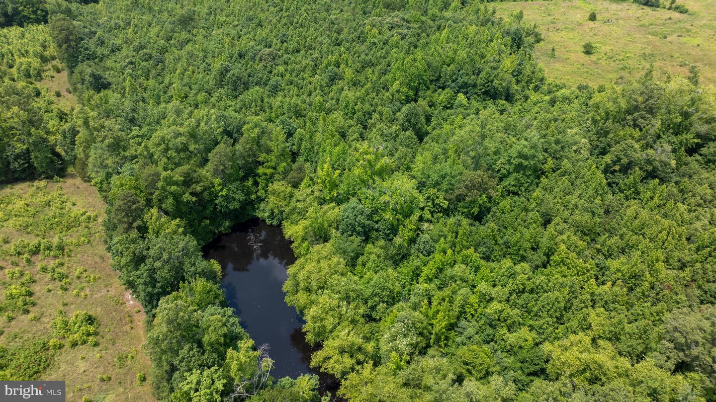 TBD PINEY GROVE ROAD #LOT 20, ALTON, Virginia 24520, ,Land,For sale,TBD PINEY GROVE ROAD #LOT 20,VAHX2000110 MLS # VAHX2000110