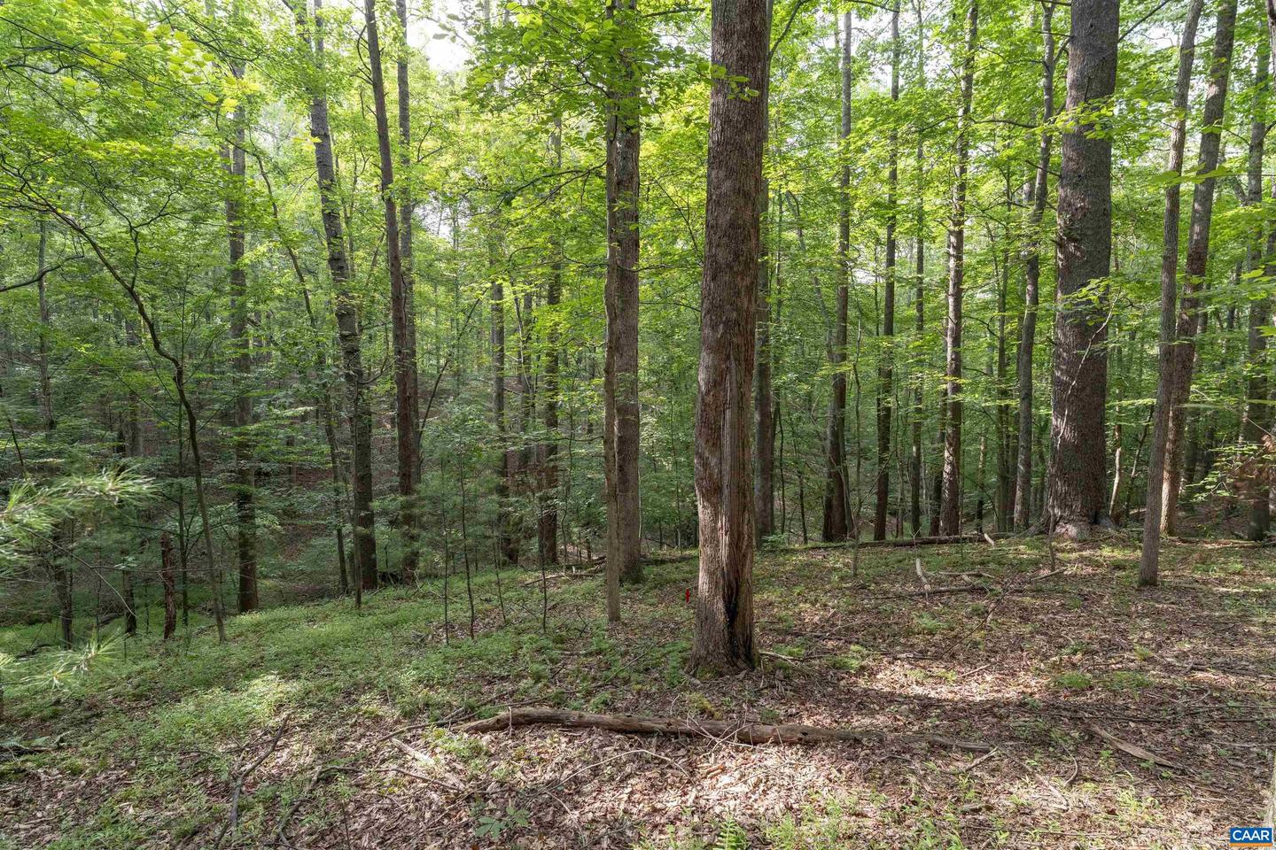 TBD DECCA LN, CHARLOTTESVILLE, Virginia 22901, ,Land,For sale,TBD DECCA LN,666931 MLS # 666931