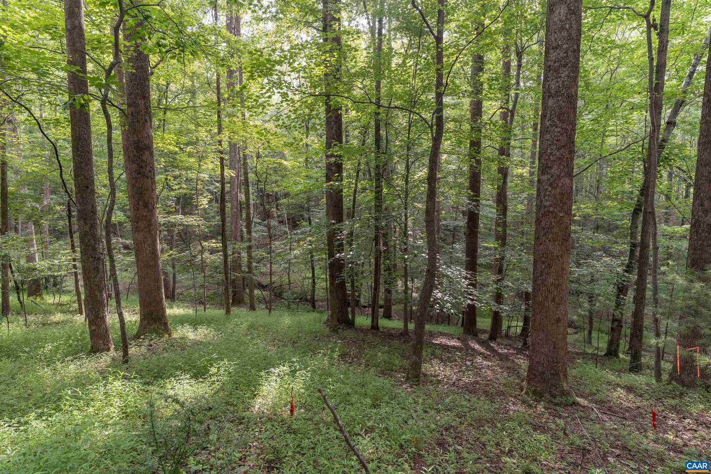 TBD DECCA LN, CHARLOTTESVILLE, Virginia 22901, ,Land,For sale,TBD DECCA LN,666931 MLS # 666931