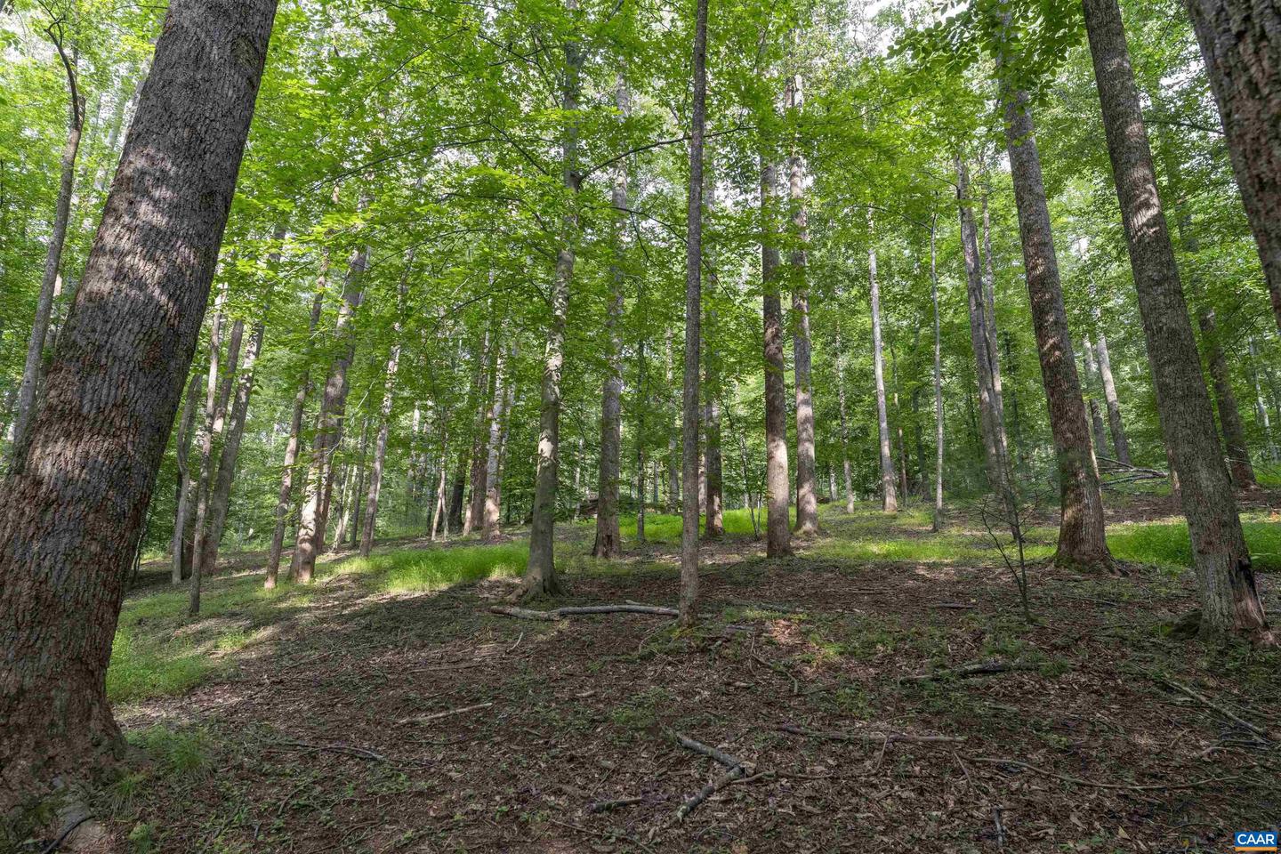 TBD DECCA LN, CHARLOTTESVILLE, Virginia 22901, ,Land,For sale,TBD DECCA LN,666931 MLS # 666931