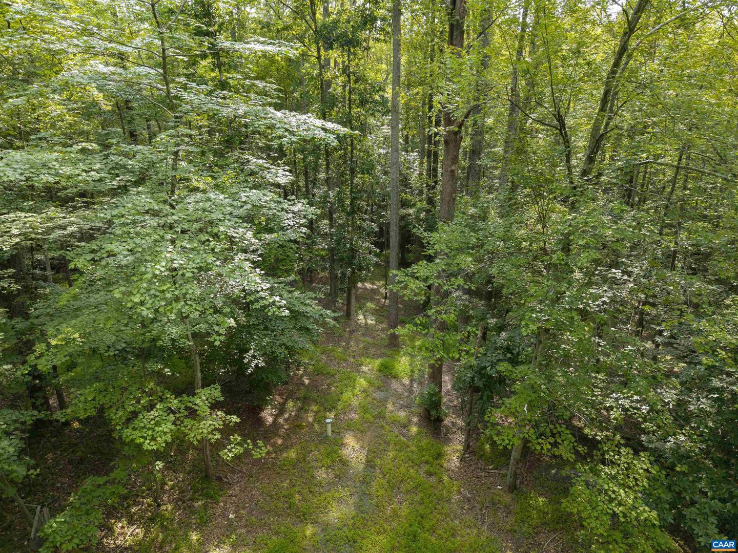 TBD DECCA LN, CHARLOTTESVILLE, Virginia 22901, ,Land,For sale,TBD DECCA LN,666931 MLS # 666931