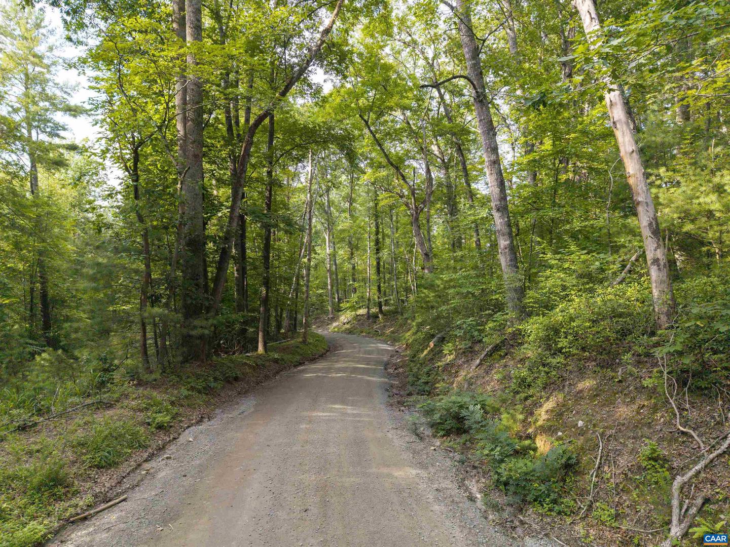 TBD DECCA LN, CHARLOTTESVILLE, Virginia 22901, ,Land,For sale,TBD DECCA LN,666931 MLS # 666931