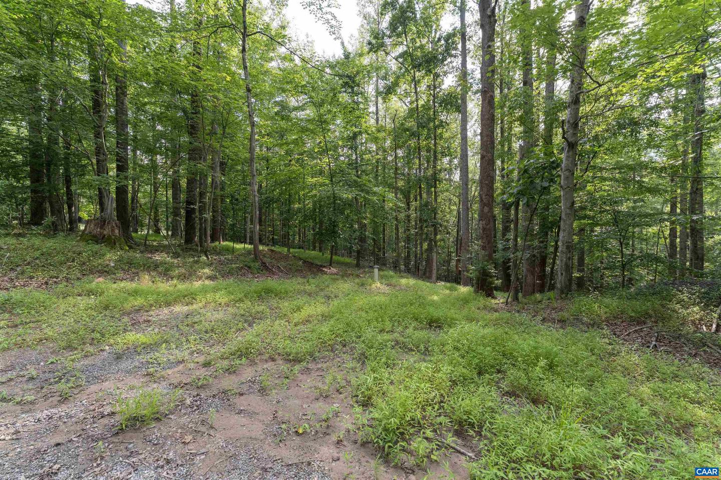 TBD DECCA LN, CHARLOTTESVILLE, Virginia 22901, ,Land,For sale,TBD DECCA LN,666931 MLS # 666931