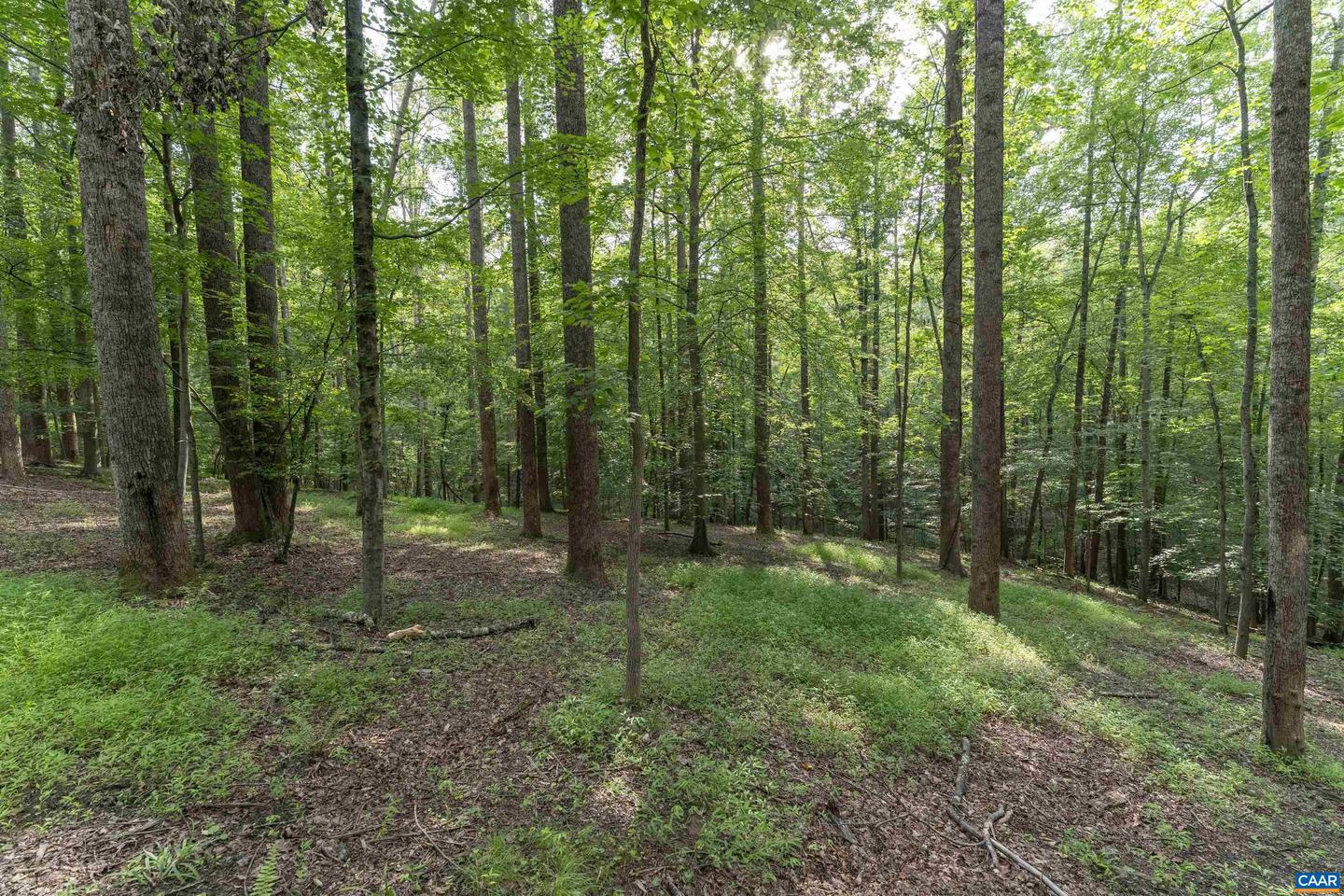TBD DECCA LN, CHARLOTTESVILLE, Virginia 22901, ,Land,For sale,TBD DECCA LN,666931 MLS # 666931