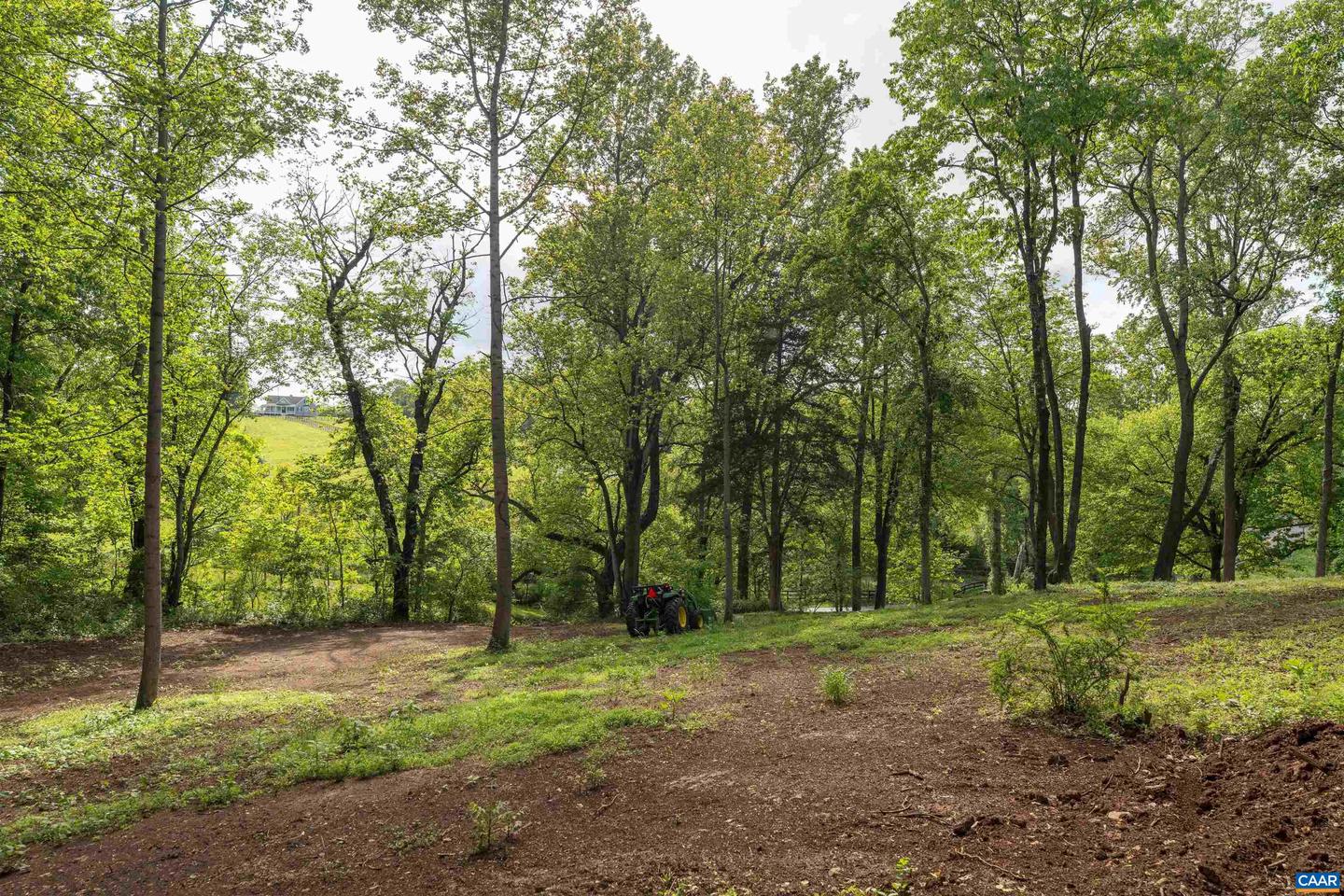 4 NORTH GARDEN LN, NORTH GARDEN, Virginia 22959, ,Land,For sale,4 NORTH GARDEN LN,666933 MLS # 666933