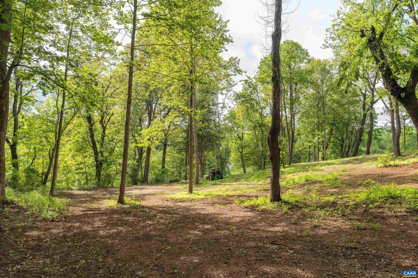 4 NORTH GARDEN LN, NORTH GARDEN, Virginia 22959, ,Land,For sale,4 NORTH GARDEN LN,666933 MLS # 666933