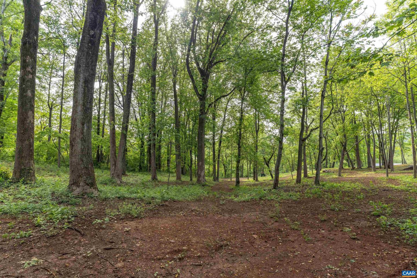 4 NORTH GARDEN LN, NORTH GARDEN, Virginia 22959, ,Land,For sale,4 NORTH GARDEN LN,666933 MLS # 666933