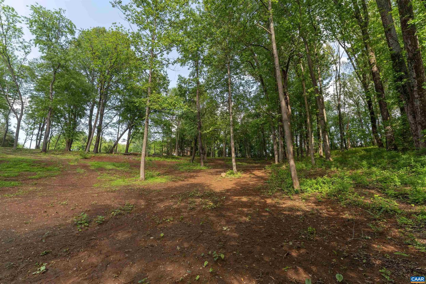4 NORTH GARDEN LN, NORTH GARDEN, Virginia 22959, ,Land,For sale,4 NORTH GARDEN LN,666933 MLS # 666933