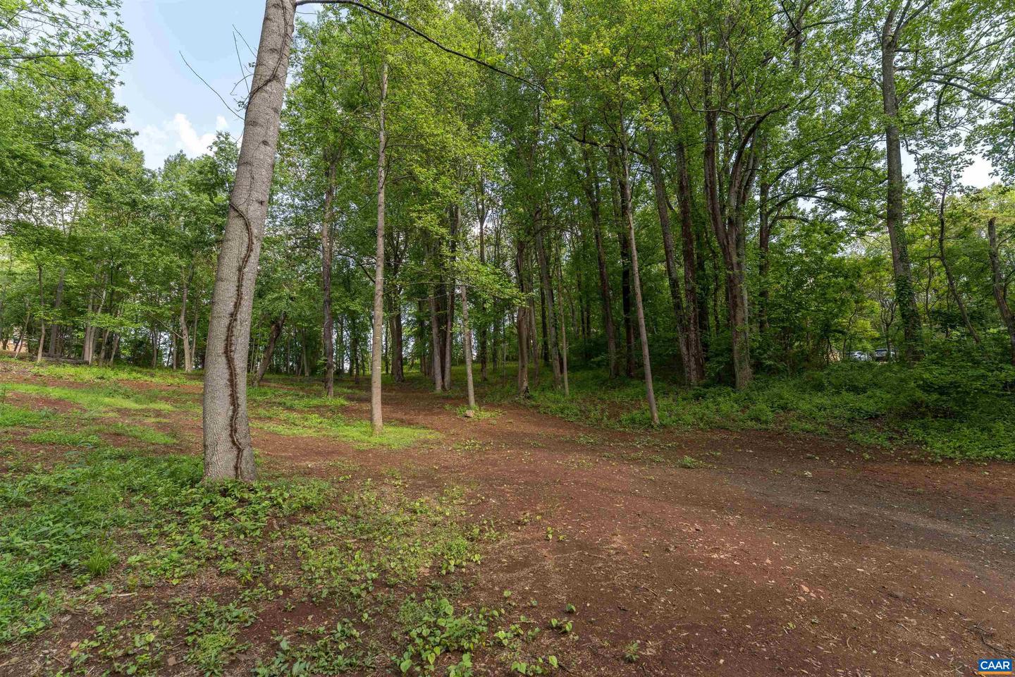 4 NORTH GARDEN LN, NORTH GARDEN, Virginia 22959, ,Land,For sale,4 NORTH GARDEN LN,666933 MLS # 666933