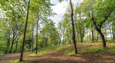 4 NORTH GARDEN LN, NORTH GARDEN, Virginia 22959, ,Land,For sale,4 NORTH GARDEN LN,666933 MLS # 666933
