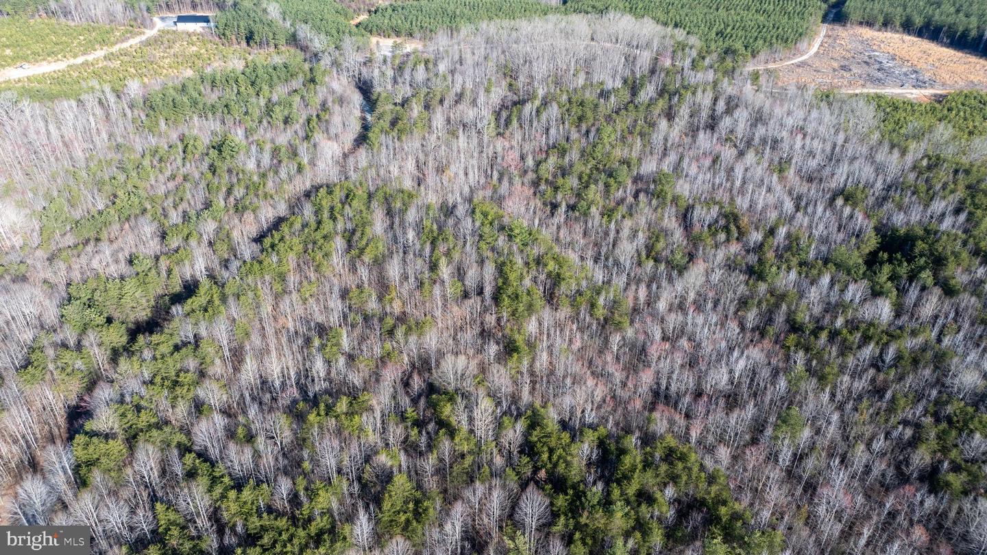 TBD PETERSVILLE ROAD #LOT 5, CUMBERLAND, Virginia 23040, ,Land,For sale,TBD PETERSVILLE ROAD #LOT 5,VACB2000064 MLS # VACB2000064