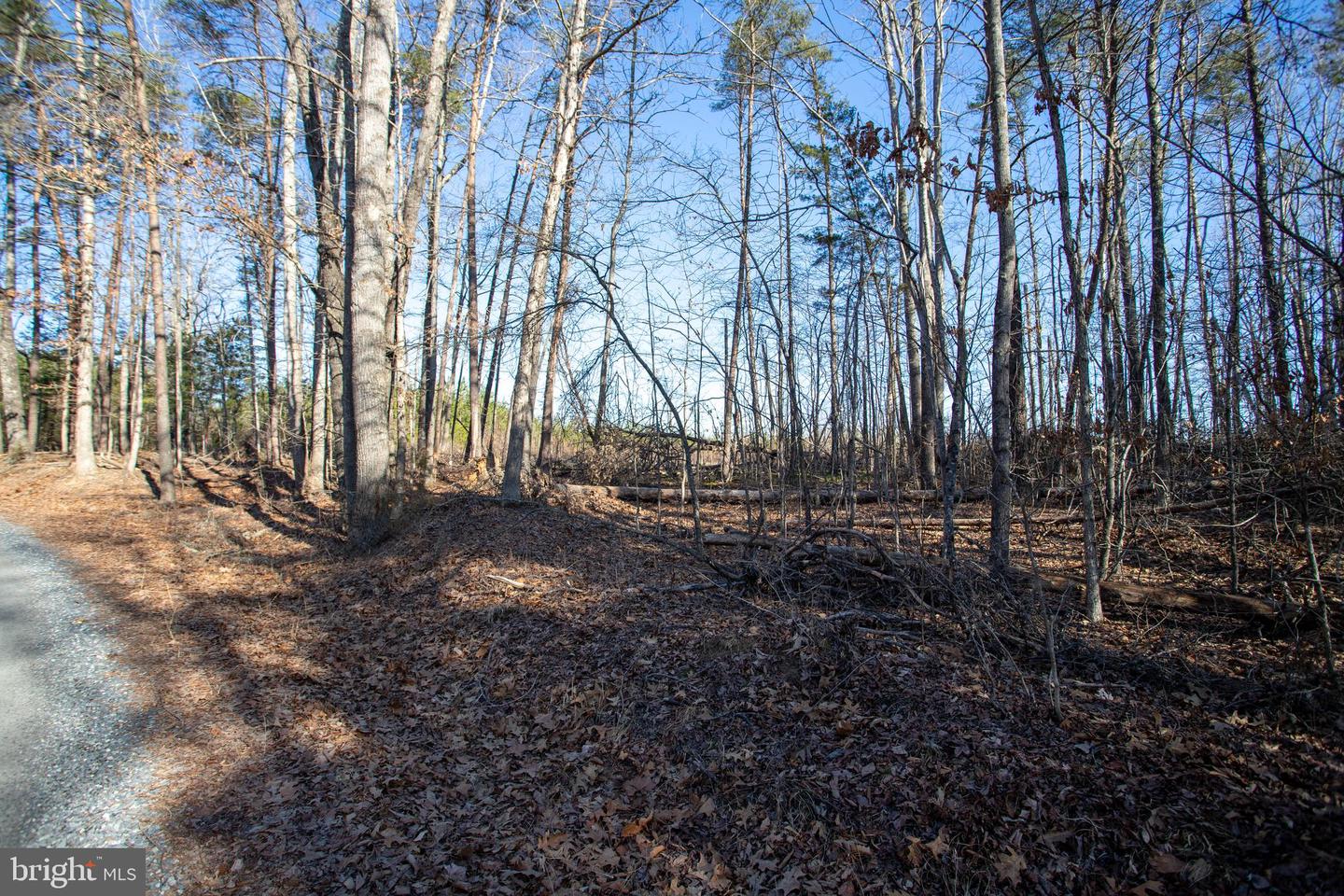 TBD PETERSVILLE ROAD #LOT 5, CUMBERLAND, Virginia 23040, ,Land,For sale,TBD PETERSVILLE ROAD #LOT 5,VACB2000064 MLS # VACB2000064