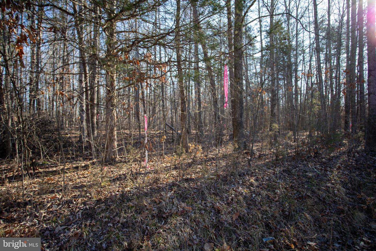 TBD PETERSVILLE ROAD #LOT 5, CUMBERLAND, Virginia 23040, ,Land,For sale,TBD PETERSVILLE ROAD #LOT 5,VACB2000064 MLS # VACB2000064
