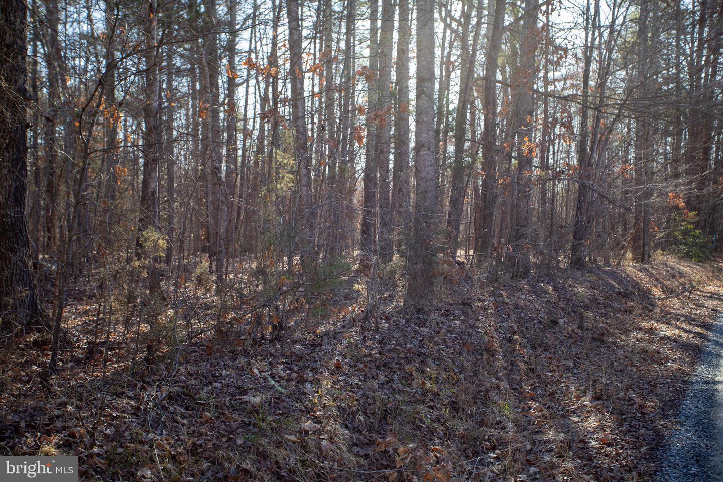 TBD PETERSVILLE ROAD #LOT 5, CUMBERLAND, Virginia 23040, ,Land,For sale,TBD PETERSVILLE ROAD #LOT 5,VACB2000064 MLS # VACB2000064