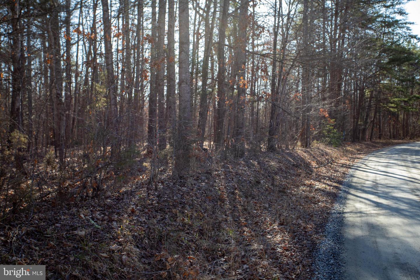 TBD PETERSVILLE ROAD #LOT 5, CUMBERLAND, Virginia 23040, ,Land,For sale,TBD PETERSVILLE ROAD #LOT 5,VACB2000064 MLS # VACB2000064