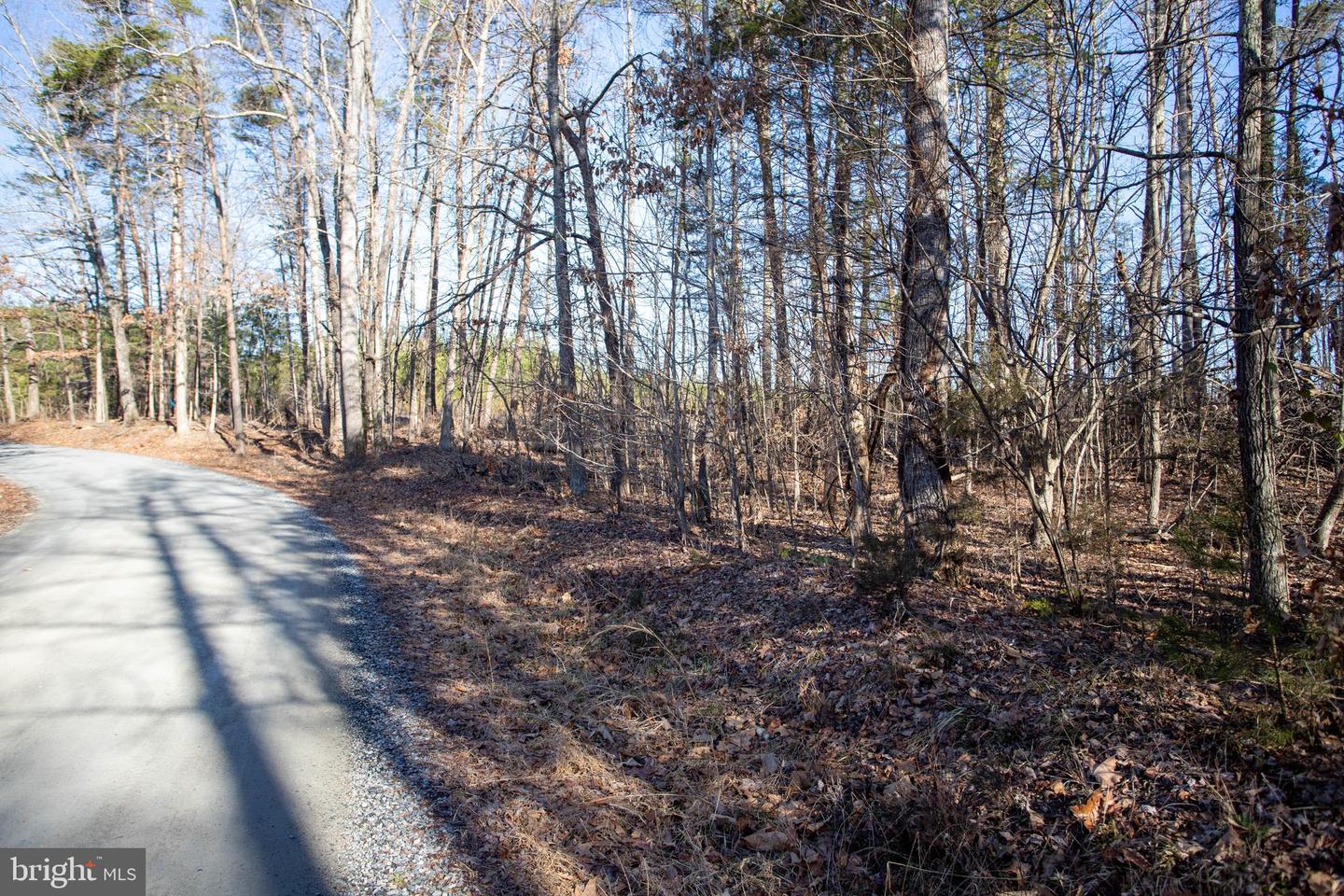 TBD PETERSVILLE ROAD #LOT 5, CUMBERLAND, Virginia 23040, ,Land,For sale,TBD PETERSVILLE ROAD #LOT 5,VACB2000064 MLS # VACB2000064