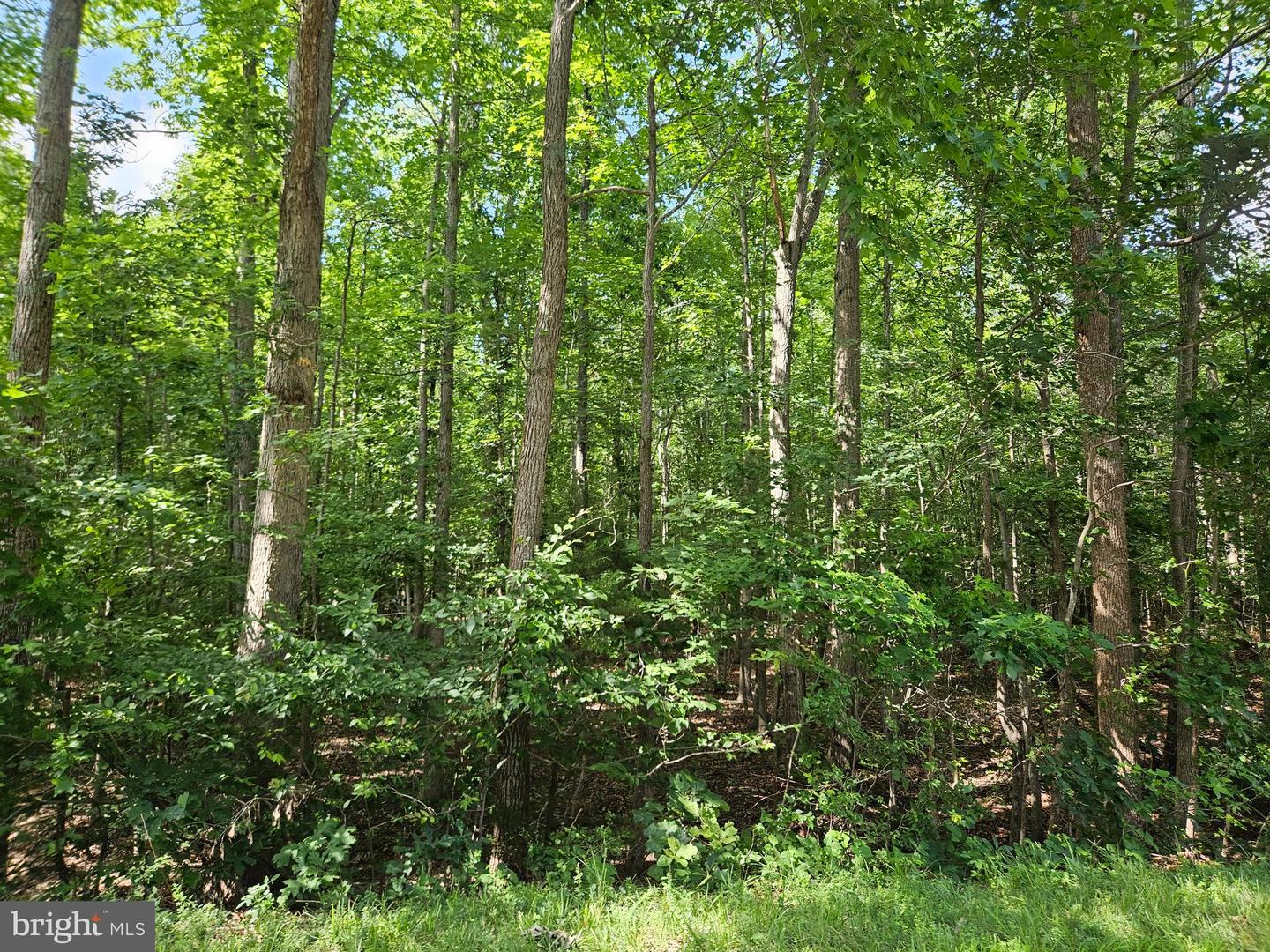 TWIN BRIDGES RD, MEHERRIN, Virginia 23954, ,Land,For sale,TWIN BRIDGES RD,VAPE2000096 MLS # VAPE2000096