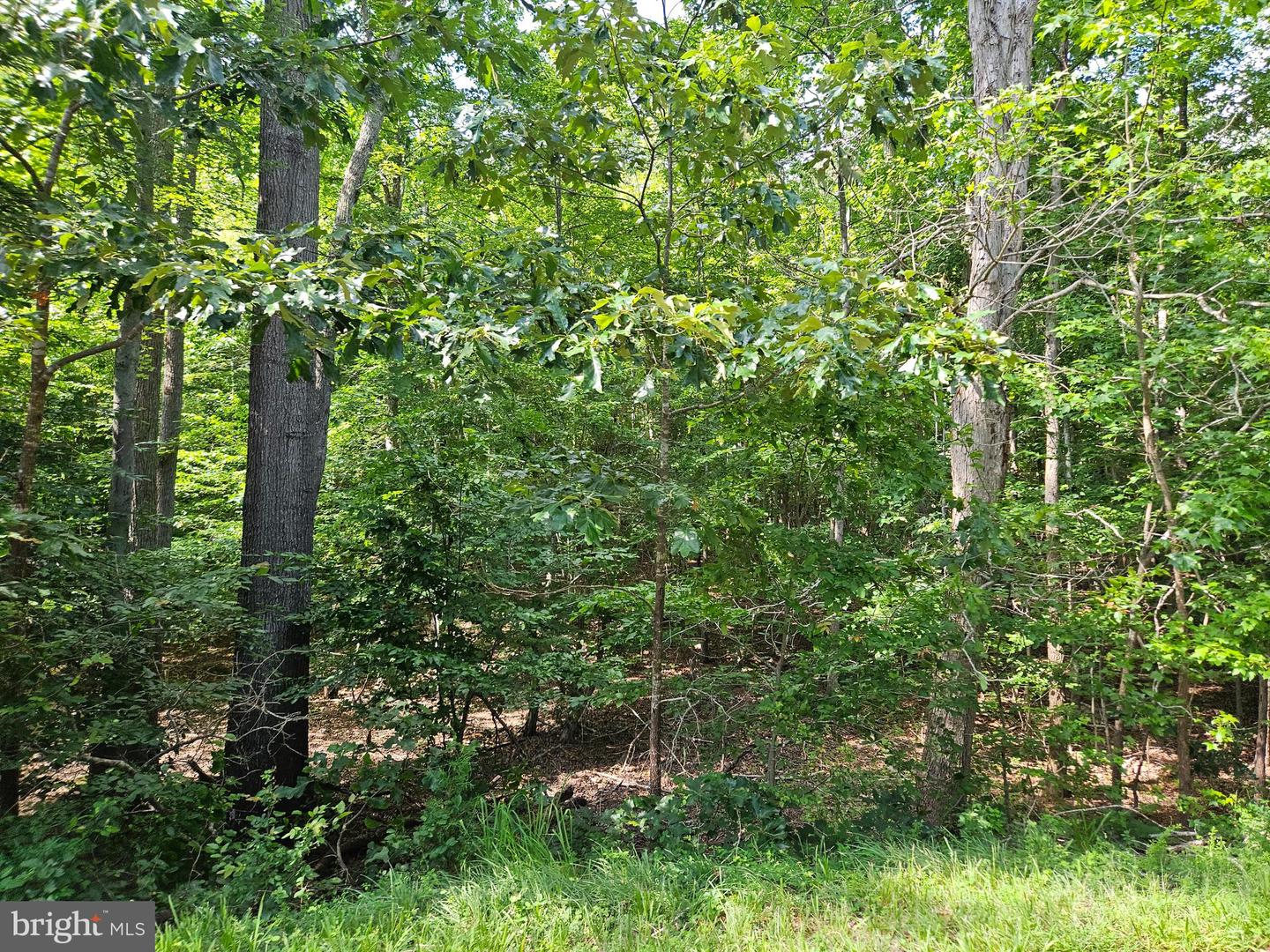 TWIN BRIDGES RD, MEHERRIN, Virginia 23954, ,Land,For sale,TWIN BRIDGES RD,VAPE2000096 MLS # VAPE2000096