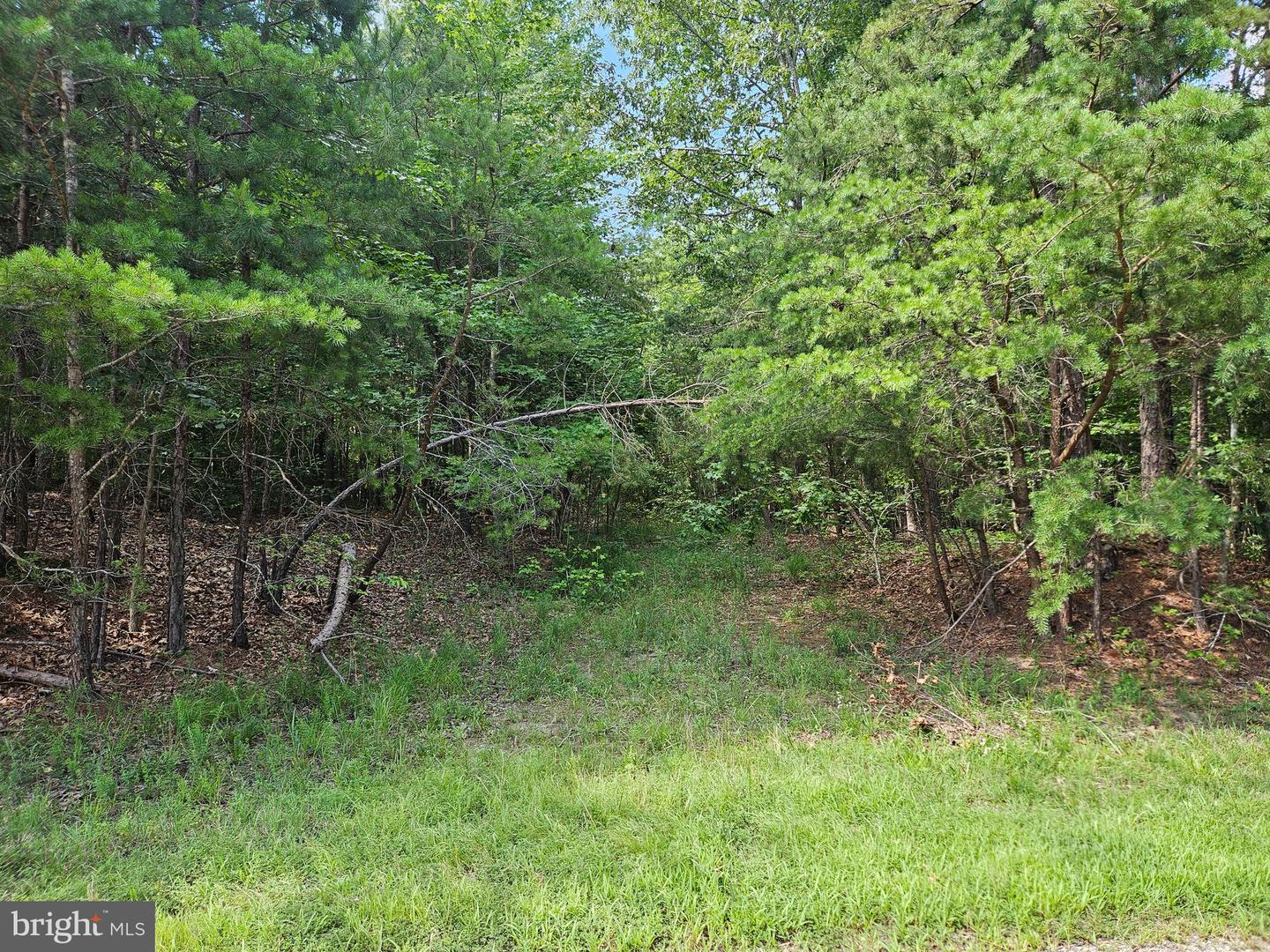 TWIN BRIDGES RD, MEHERRIN, Virginia 23954, ,Land,For sale,TWIN BRIDGES RD,VAPE2000096 MLS # VAPE2000096