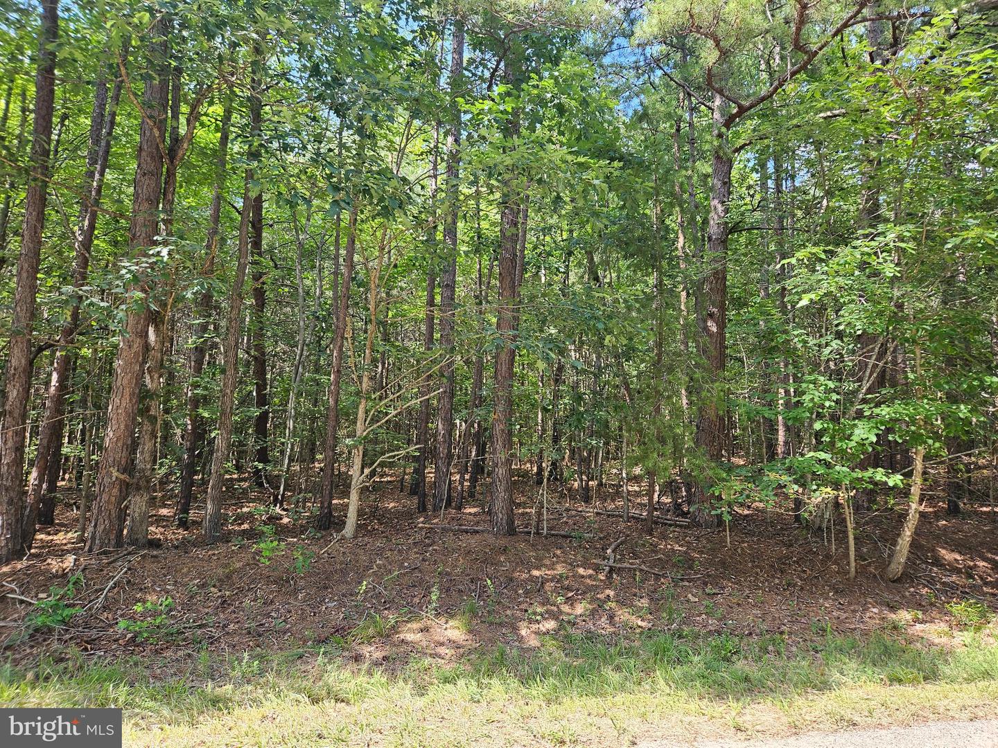 TWIN BRIDGES RD, MEHERRIN, Virginia 23954, ,Land,For sale,TWIN BRIDGES RD,VAPE2000096 MLS # VAPE2000096