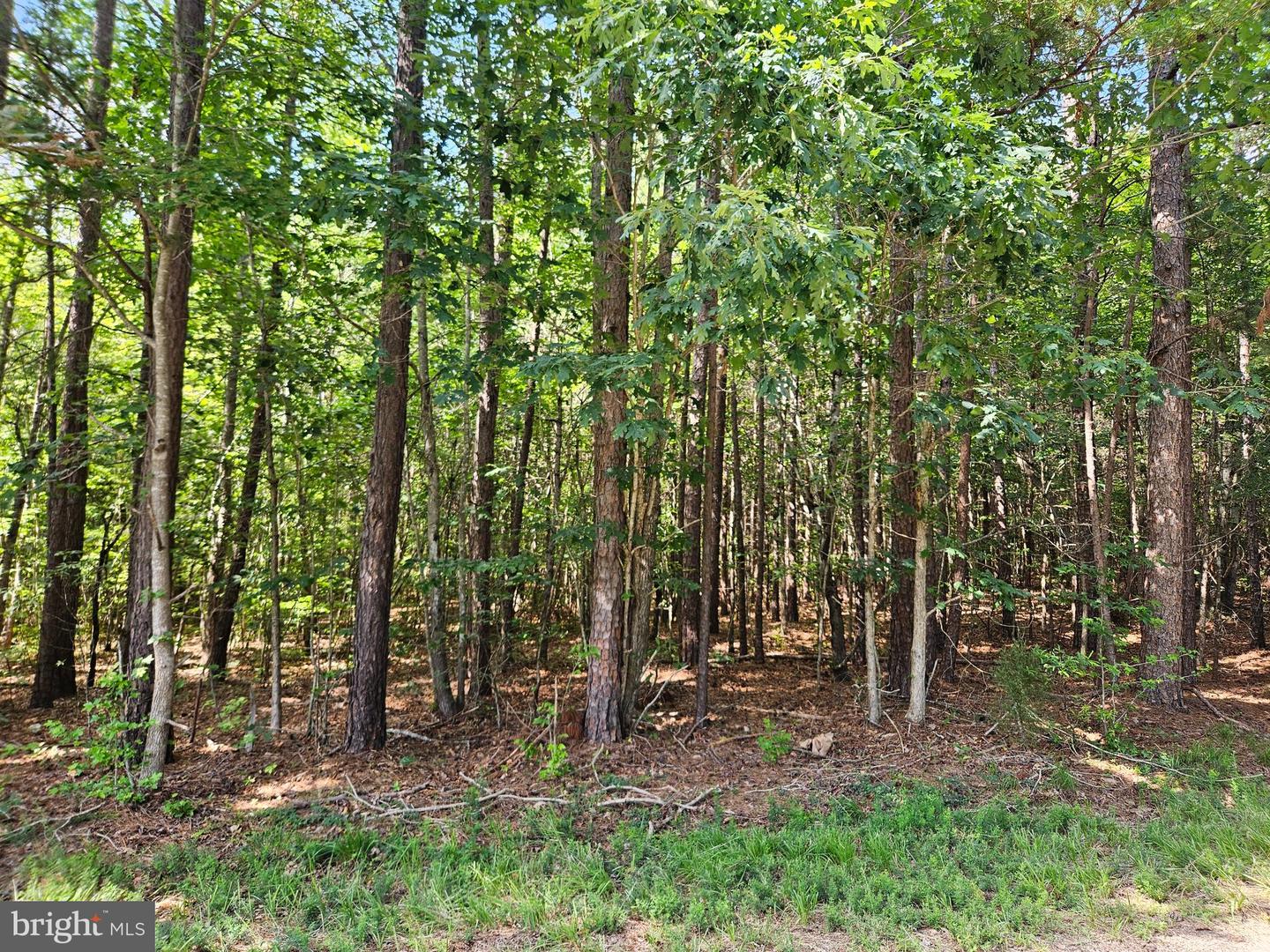 TWIN BRIDGES RD, MEHERRIN, Virginia 23954, ,Land,For sale,TWIN BRIDGES RD,VAPE2000096 MLS # VAPE2000096