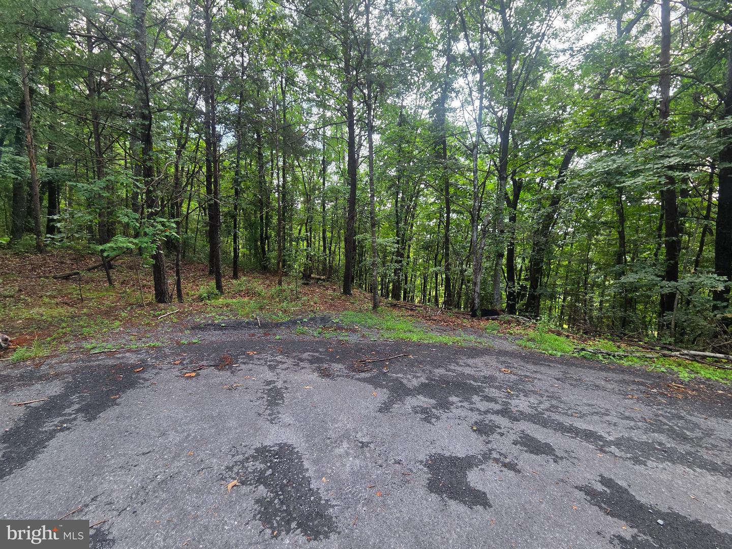 ASH, MOUNT JACKSON, Virginia 22842, ,Land,For sale,ASH,VASH2012048 MLS # VASH2012048
