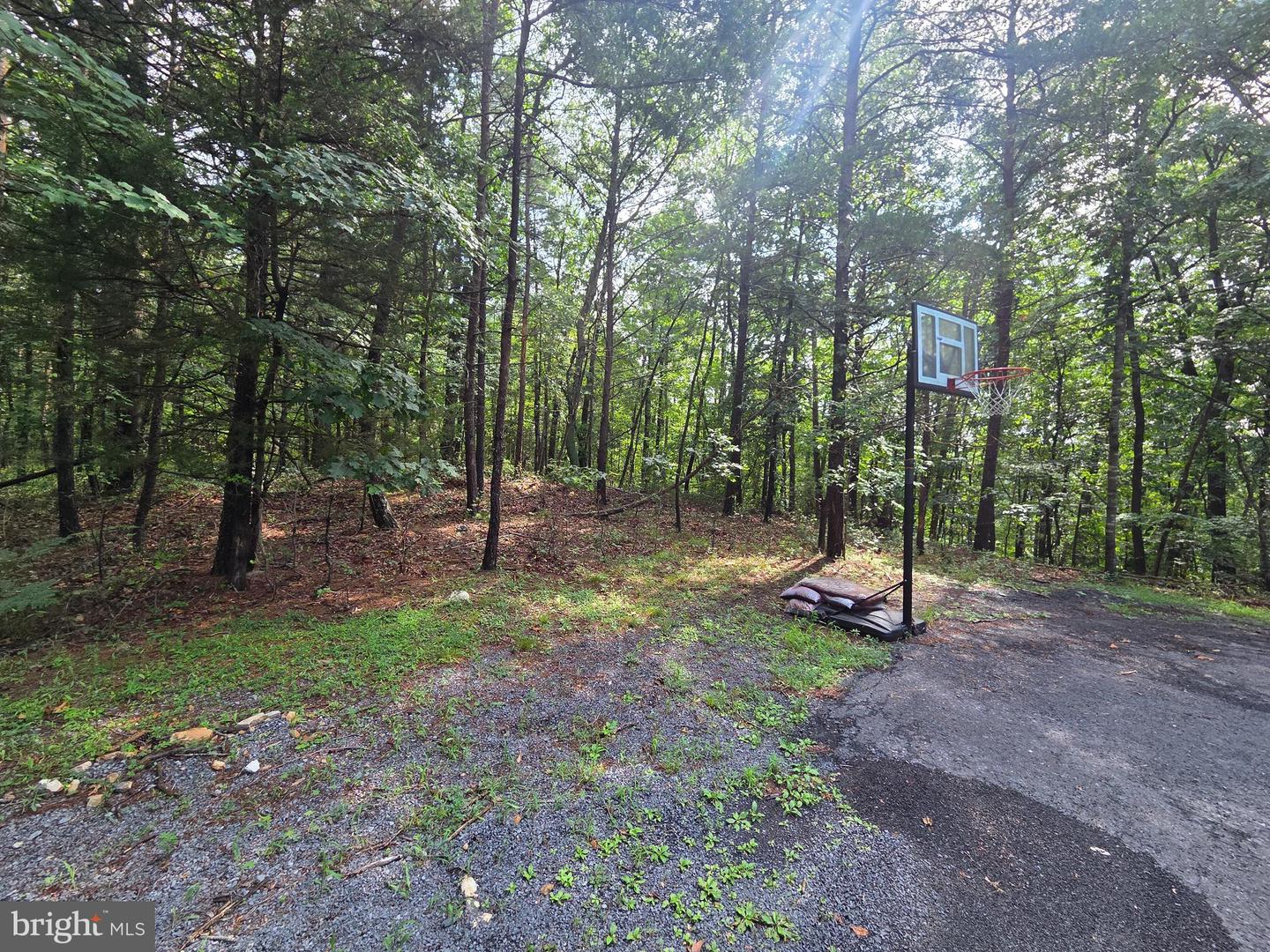 ASH, MOUNT JACKSON, Virginia 22842, ,Land,For sale,ASH,VASH2012048 MLS # VASH2012048