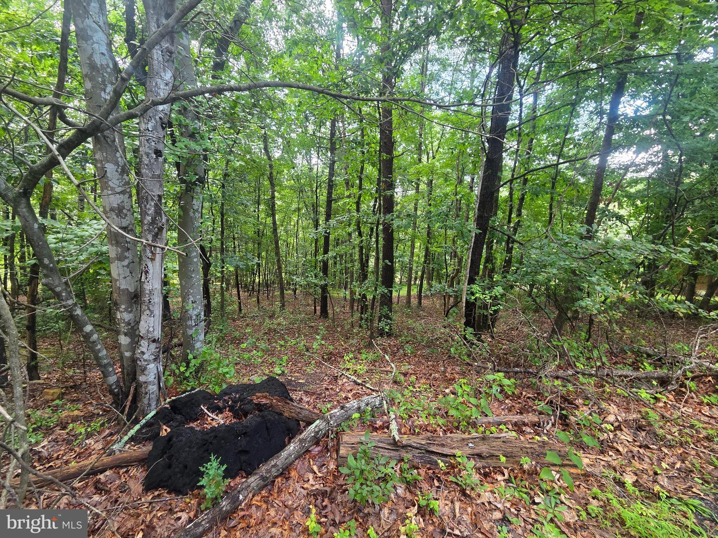 ASH, MOUNT JACKSON, Virginia 22842, ,Land,For sale,ASH,VASH2012048 MLS # VASH2012048