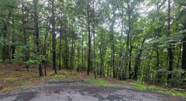 ASH, MOUNT JACKSON, Virginia 22842, ,Land,For sale,ASH,VASH2012048 MLS # VASH2012048