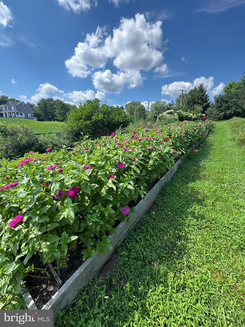 36625 SHOEMAKER SCHOOL RD, PURCELLVILLE, Virginia 20132, 5 Bedrooms Bedrooms, ,2 BathroomsBathrooms,Residential,For sale,36625 SHOEMAKER SCHOOL RD,VALO2093442 MLS # VALO2093442