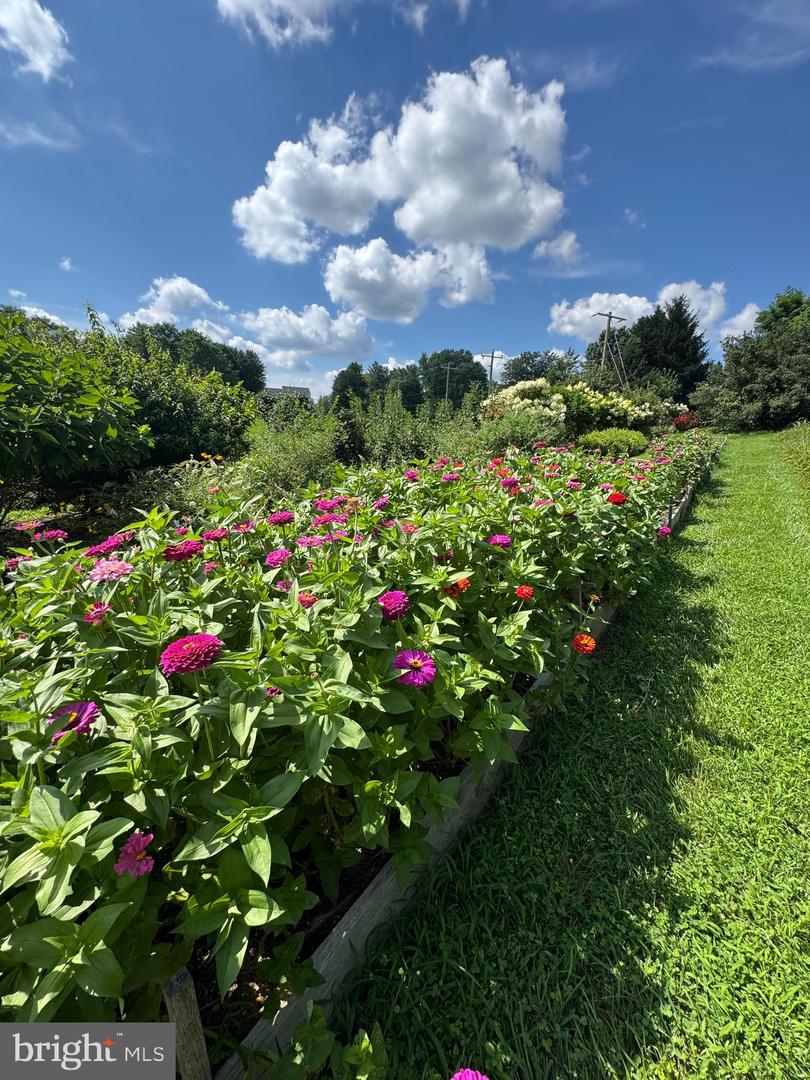 36625 SHOEMAKER SCHOOL RD, PURCELLVILLE, Virginia 20132, 5 Bedrooms Bedrooms, ,2 BathroomsBathrooms,Residential,For sale,36625 SHOEMAKER SCHOOL RD,VALO2093442 MLS # VALO2093442