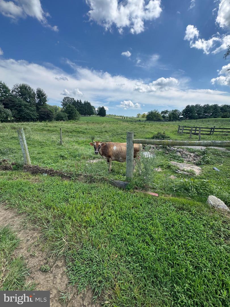 36625 SHOEMAKER SCHOOL RD, PURCELLVILLE, Virginia 20132, 5 Bedrooms Bedrooms, ,2 BathroomsBathrooms,Residential,For sale,36625 SHOEMAKER SCHOOL RD,VALO2093442 MLS # VALO2093442