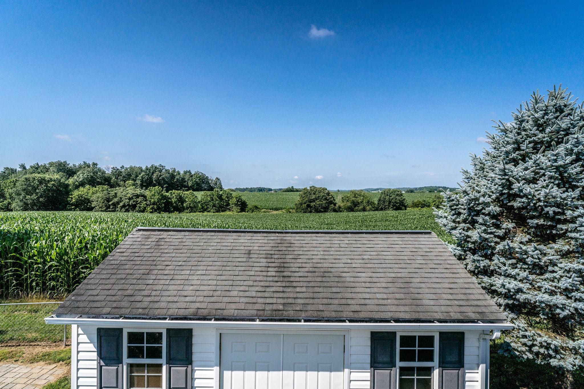 rear yard.