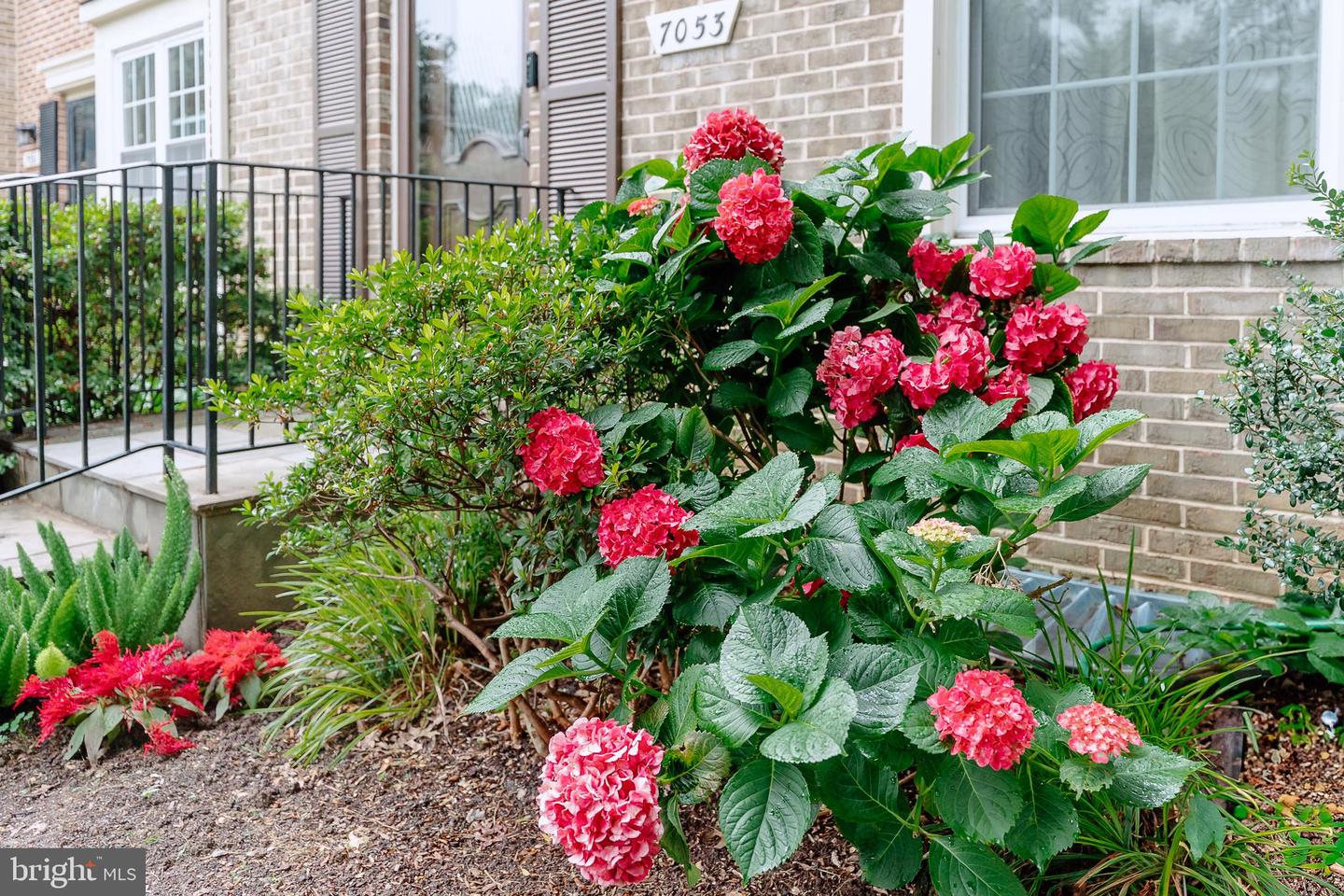 7053 LEEWOOD FOREST DR, SPRINGFIELD, Virginia 22151, 3 Bedrooms Bedrooms, ,3 BathroomsBathrooms,Residential,For sale,7053 LEEWOOD FOREST DR,VAFX2252332 MLS # VAFX2252332