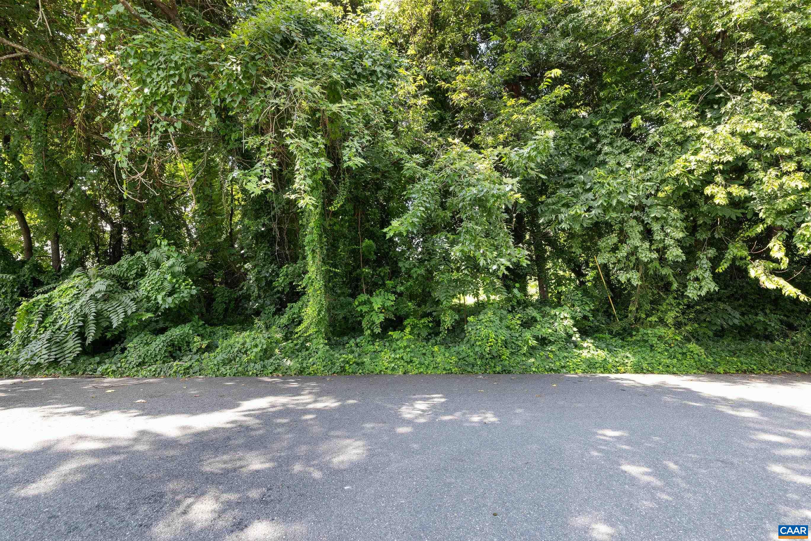 1411 CHESAPEAKE ST, CHARLOTTESVILLE, Virginia 22902, ,Residential,1411 CHESAPEAKE ST,666886 MLS # 666886